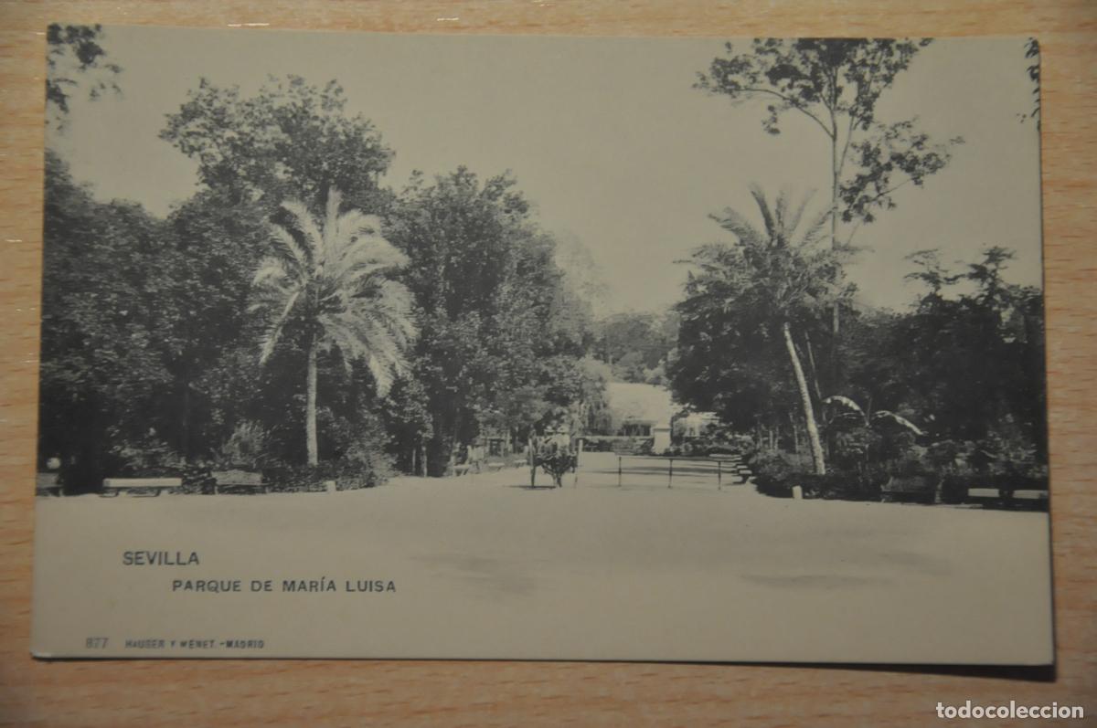 Postales: postal sevilla, parque de maria luisa, hauser y menet 877
