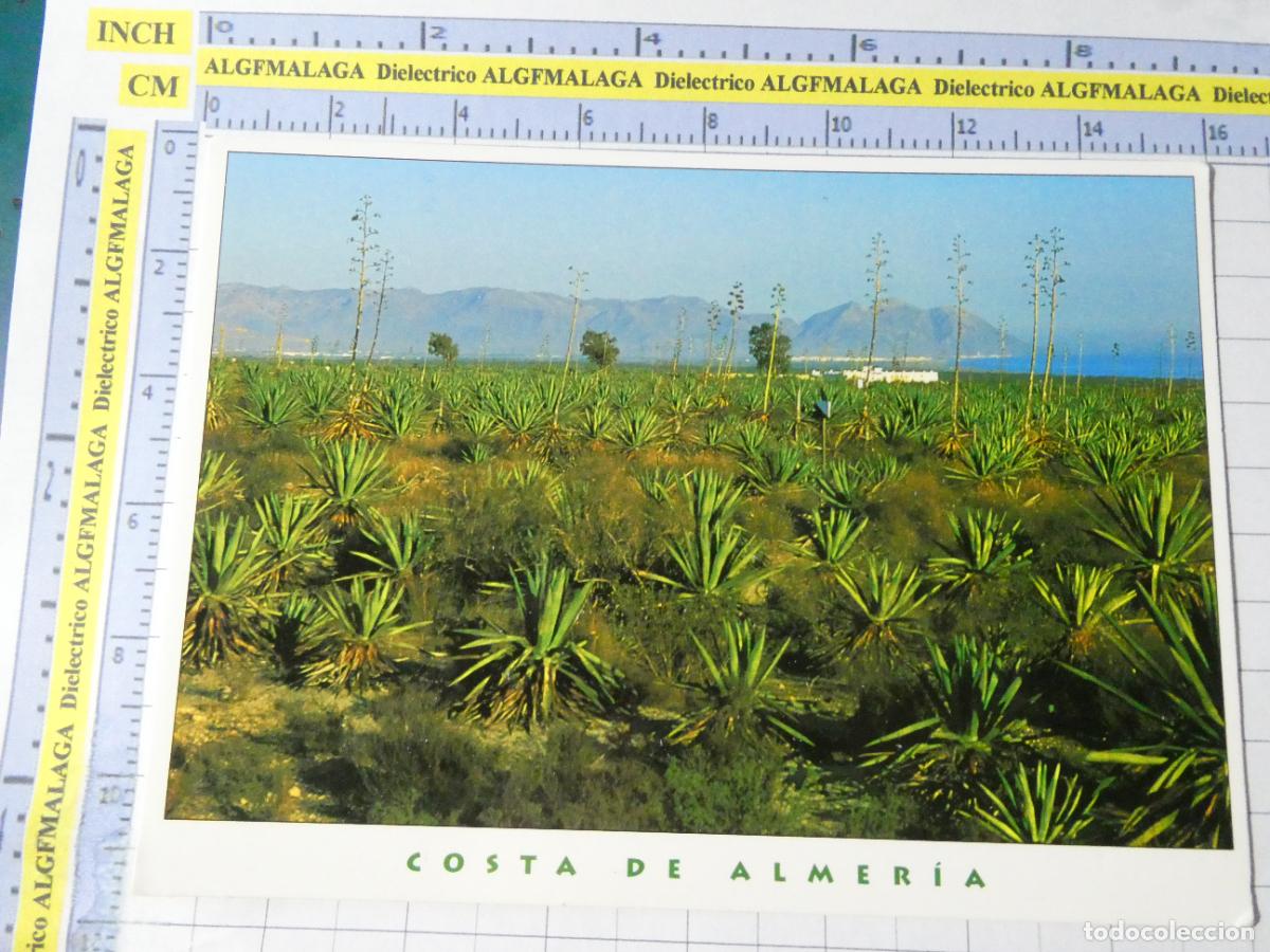 Postales: POSTAL DE ALMER&Iacute;A. A&Ntilde;O 1996. CAMPOS DE N&Iacute;JAR 215.8 TRIANGLE. 2322