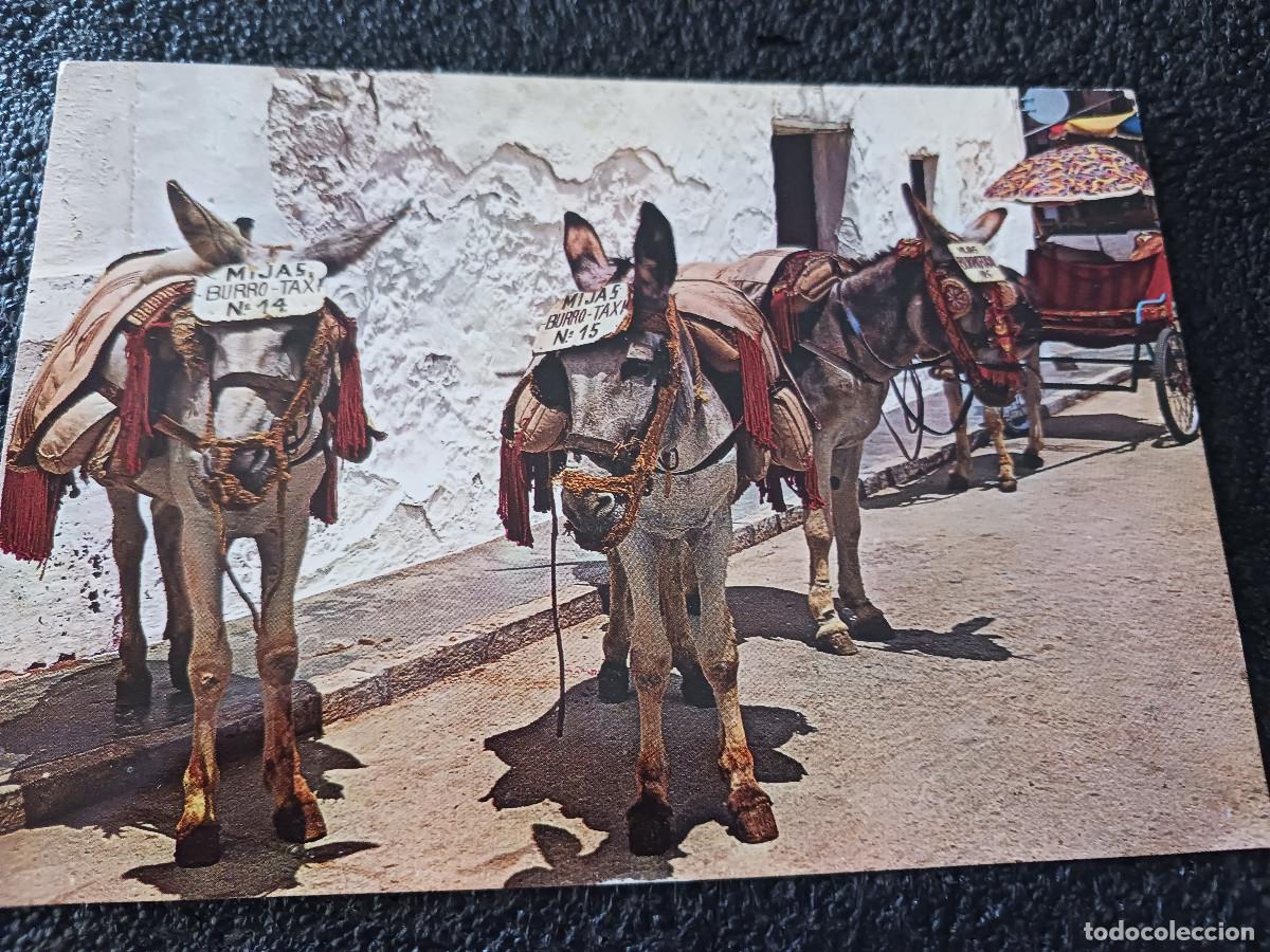 Postales: 10 mijas, parada de burros taxi, ed, garrabella,. circulada