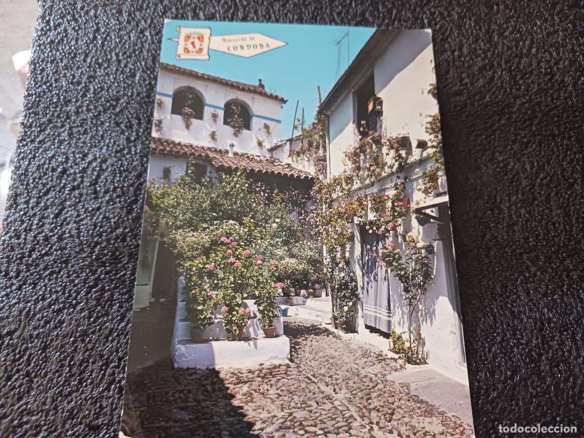 Postales: 5102 cordoba, patio tipico, ed. pergamino, circulada 1973