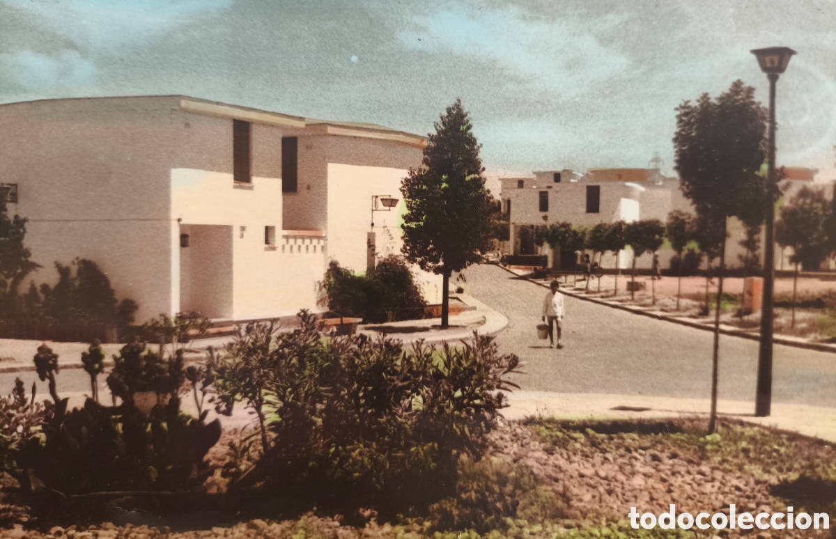 Postales: LORA DEL R&Iacute;O BARRIADA POSTAL FOTOGR&Aacute;FICA COLOREADA SEVILLA 1966