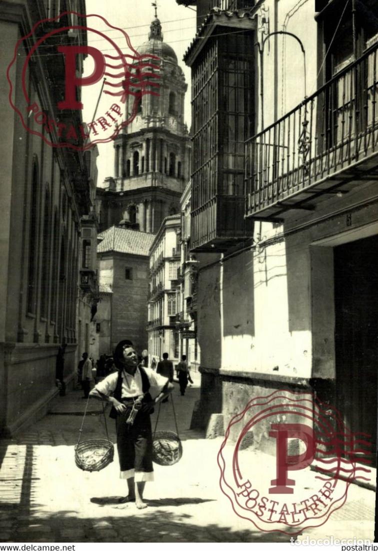 Postcards: MALAGA. TIPICO VENDEDOR DE PESCADO EN LA CALLE SAN AGUSTIN.