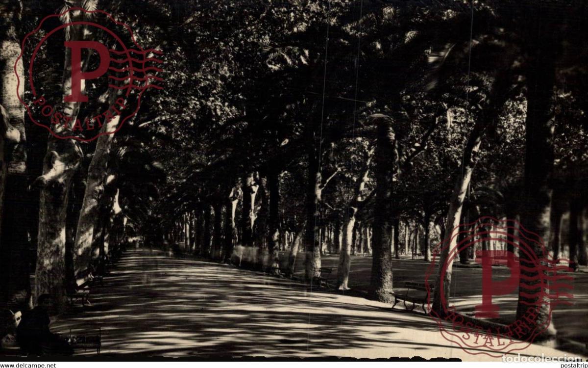 Cartes Postales: MALAGA. PARQUE PASEO DE LAS PALMERAS.