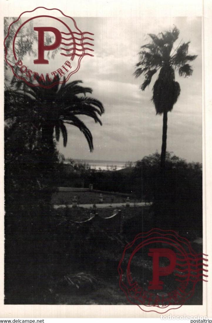 Cartes Postales: MALAGA. ALCAZABA. JARDIN.