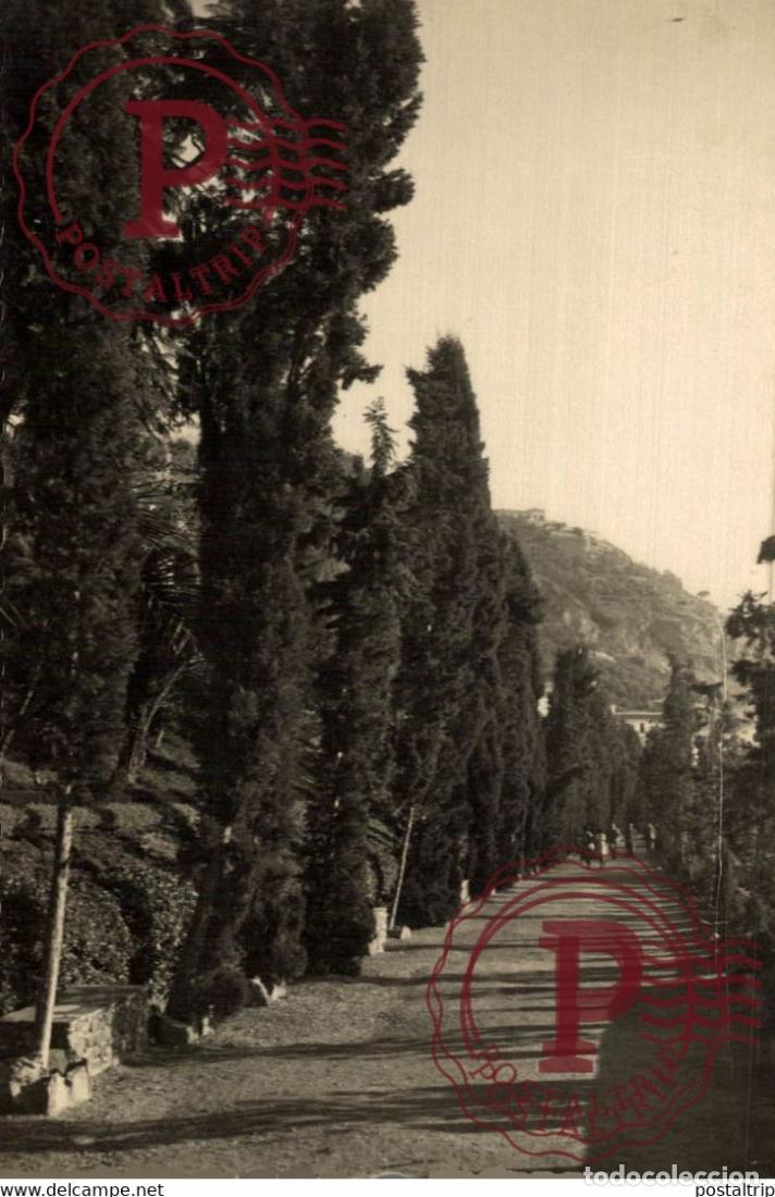 Cartes Postales: MALAGA. PASEO DE LOS JARDINES DE LA PUERTA OSCURA.