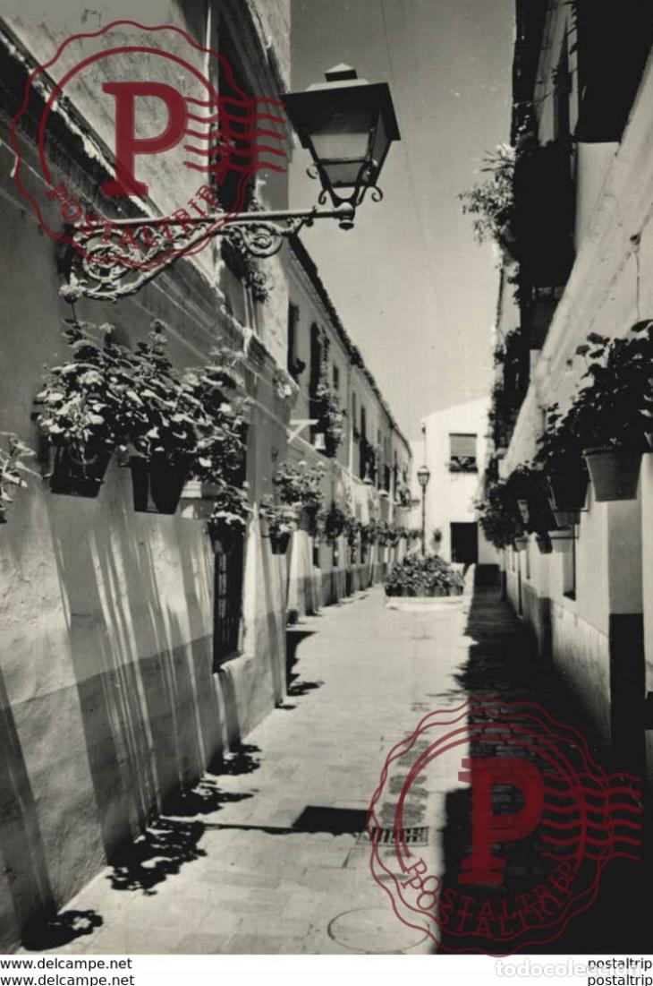 Postkarten: M&aacute;laga - Calle T&iacute;pica. Andalucia Espa&ntilde;a