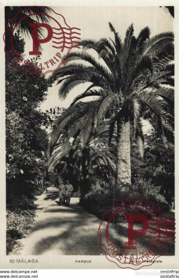 Postales: M&aacute;laga - Parque. Andalucia Espa&ntilde;a