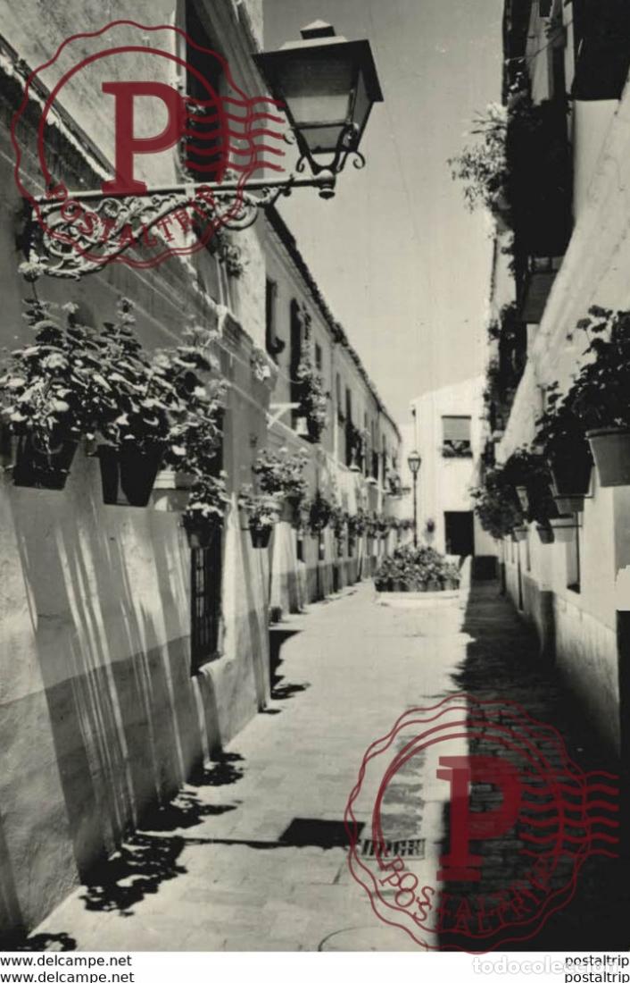 Postales: M&aacute;laga - Calle T&iacute;pca. Andalucia Espa&ntilde;a