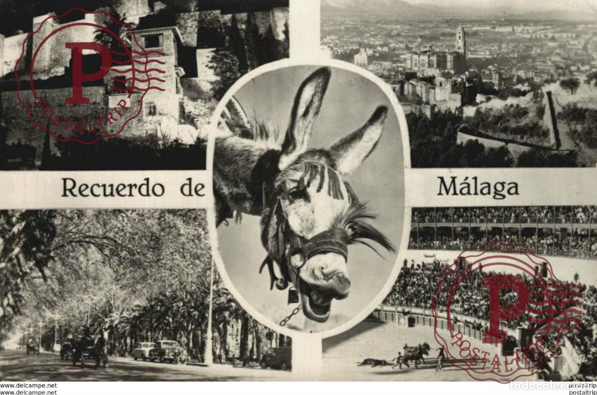 Postcards: M&aacute;laga - Recuerdo de M&aacute;laga. Andalucia Espa&ntilde;a