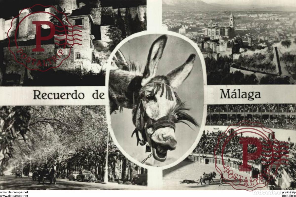 Postcards: M&aacute;laga - Recuerdo de M&aacute;laga. Andalucia Espa&ntilde;a