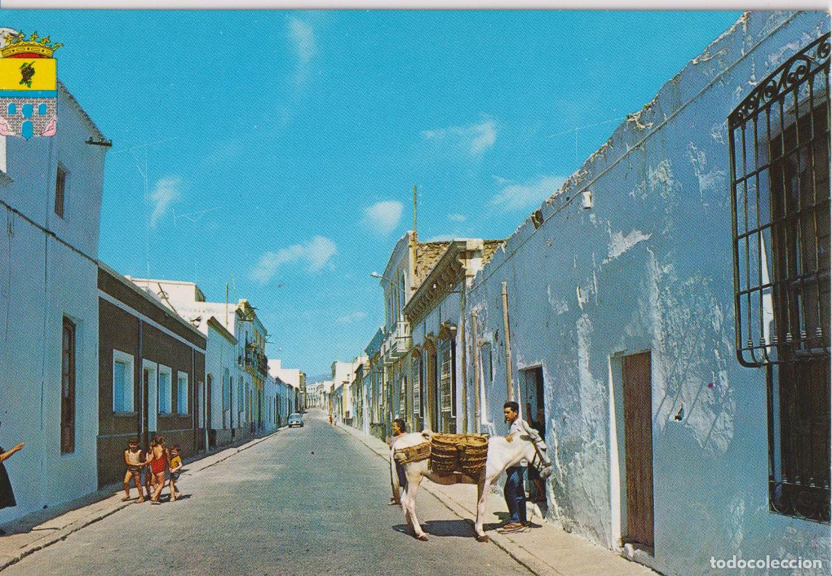 Postales: ALHAMA DE ALMERIA, CALLE M&Eacute;DICOS, BURRO - EXCL.SEBASTIAN LOPEZ - ZERKOWITS SERIE98 N&ordm;1 - S/C