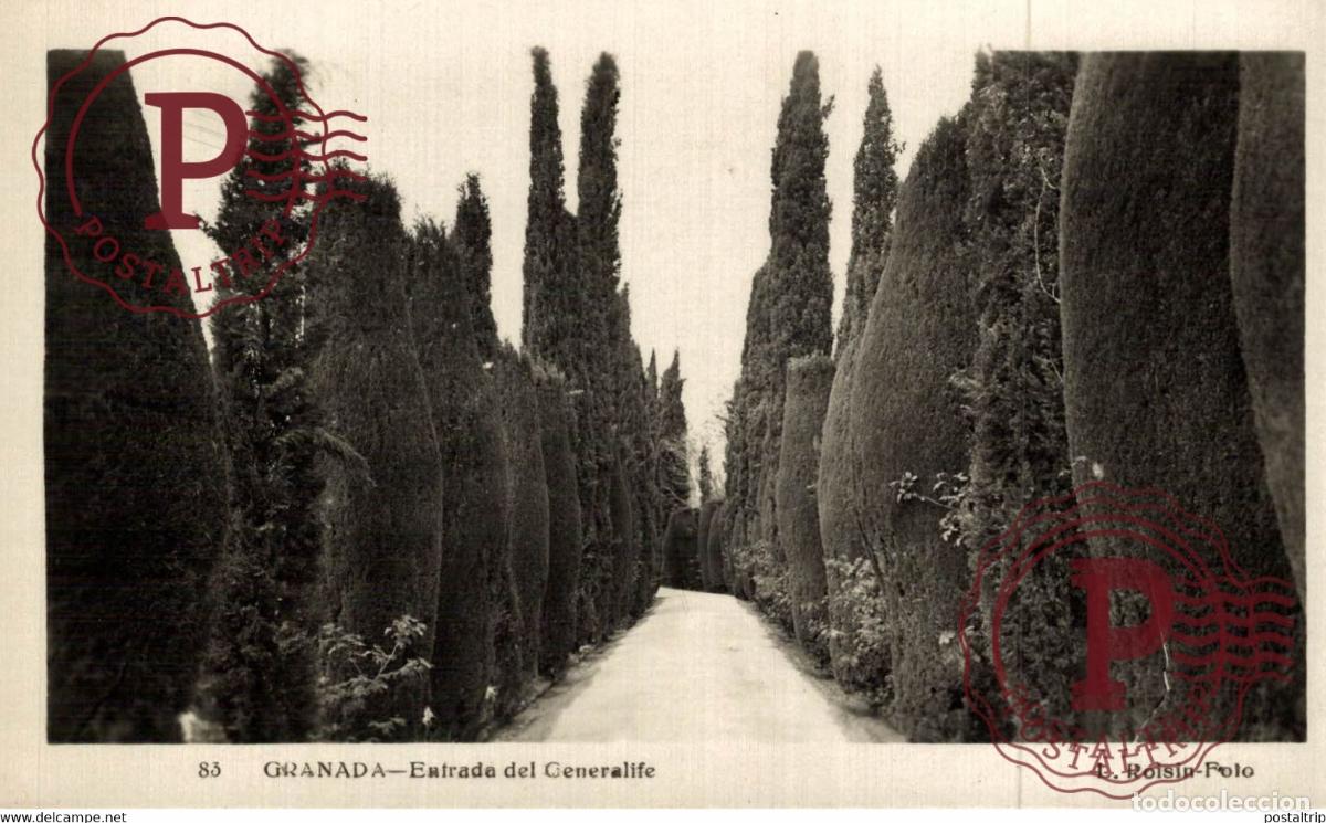 Cartes Postales: GRANADA. ENTRADA DEL GENERALIFE.
