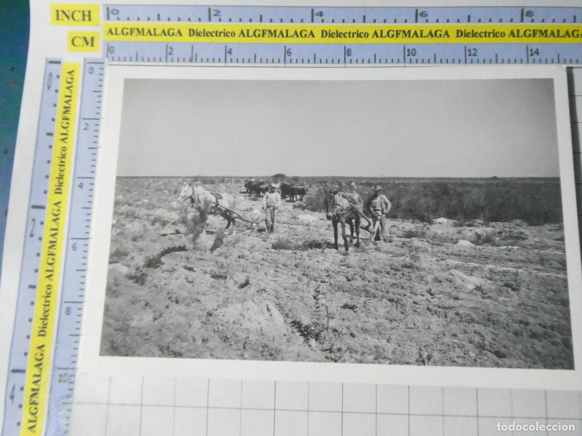 Postales: POSTAL DE HUELVA. EL ABALARIO UN PAISAJE EN CONSTRUCCI&Oacute;N. FAENAS YUNTAS MULOS. JUNTA ANDALUCIA 2426