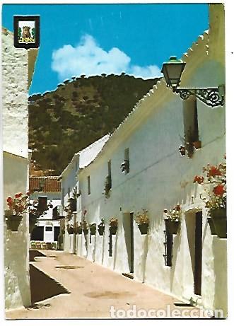 Postales: CALLE TIPICA - TYPICAL STREET.- MIJAS / MALAGA