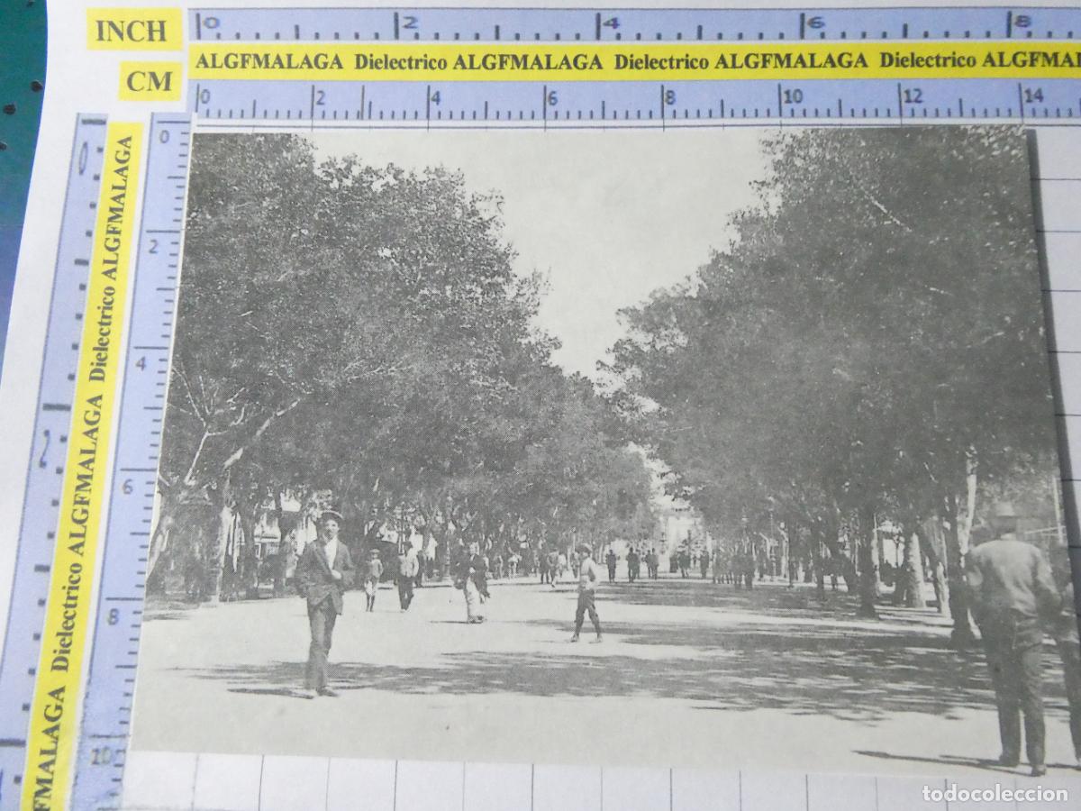 Postcards: POSTAL DE M&Aacute;LAGA. FACS&Iacute;MIL AGUALARGA. ALAMEDA PRINCIPAL. 2447