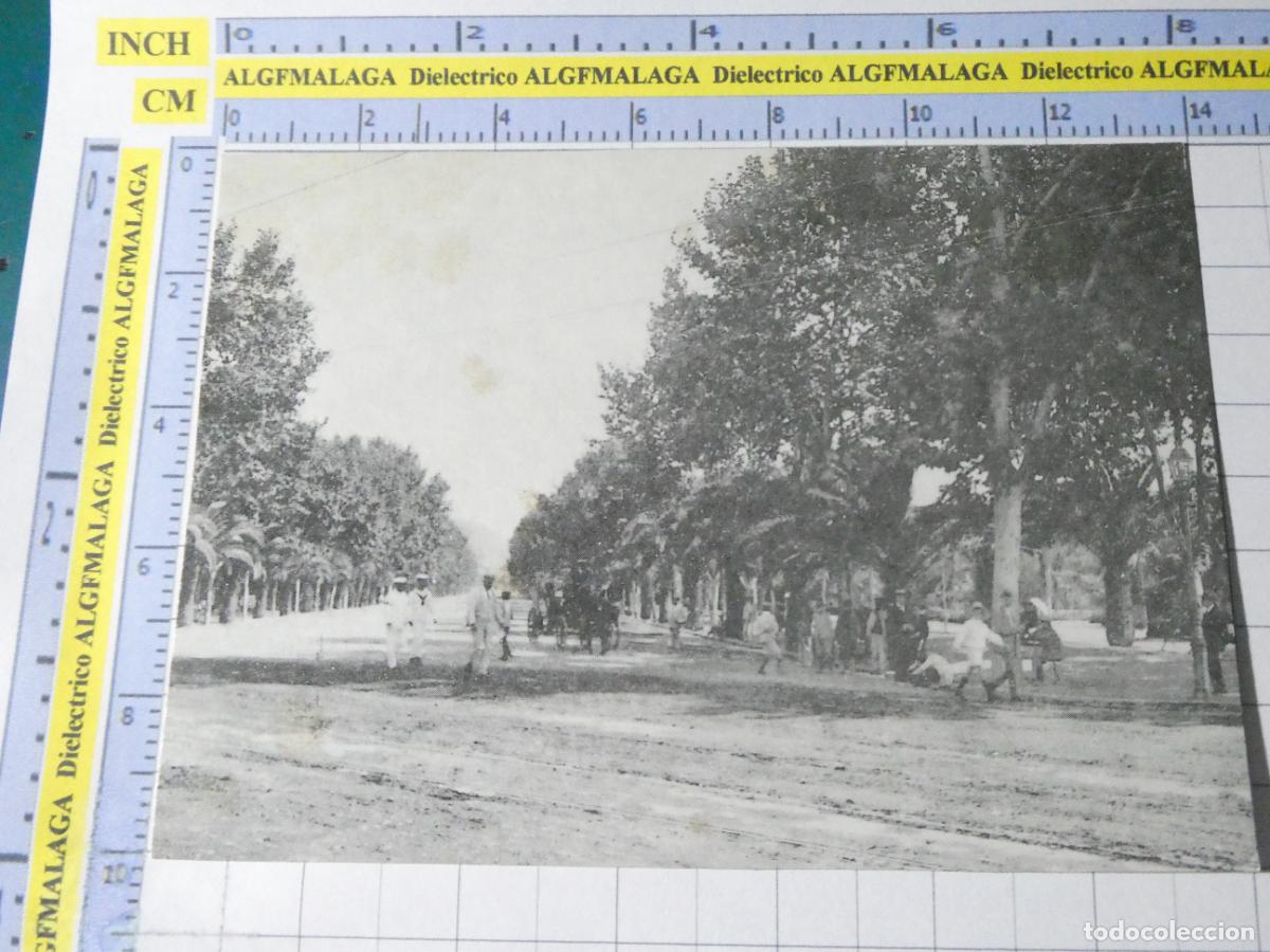 Postales: POSTAL DE M&Aacute;LAGA. FACS&Iacute;MIL AGUALARGA. PARQUE PASEO CENTRAL. 2468