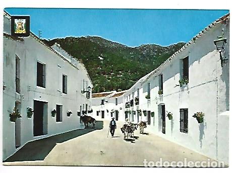 Postales: CALLE DE LOS CA&Ntilde;OS - &rdquo; CA&Ntilde;OS &rdquo; STREET.- MIJAS