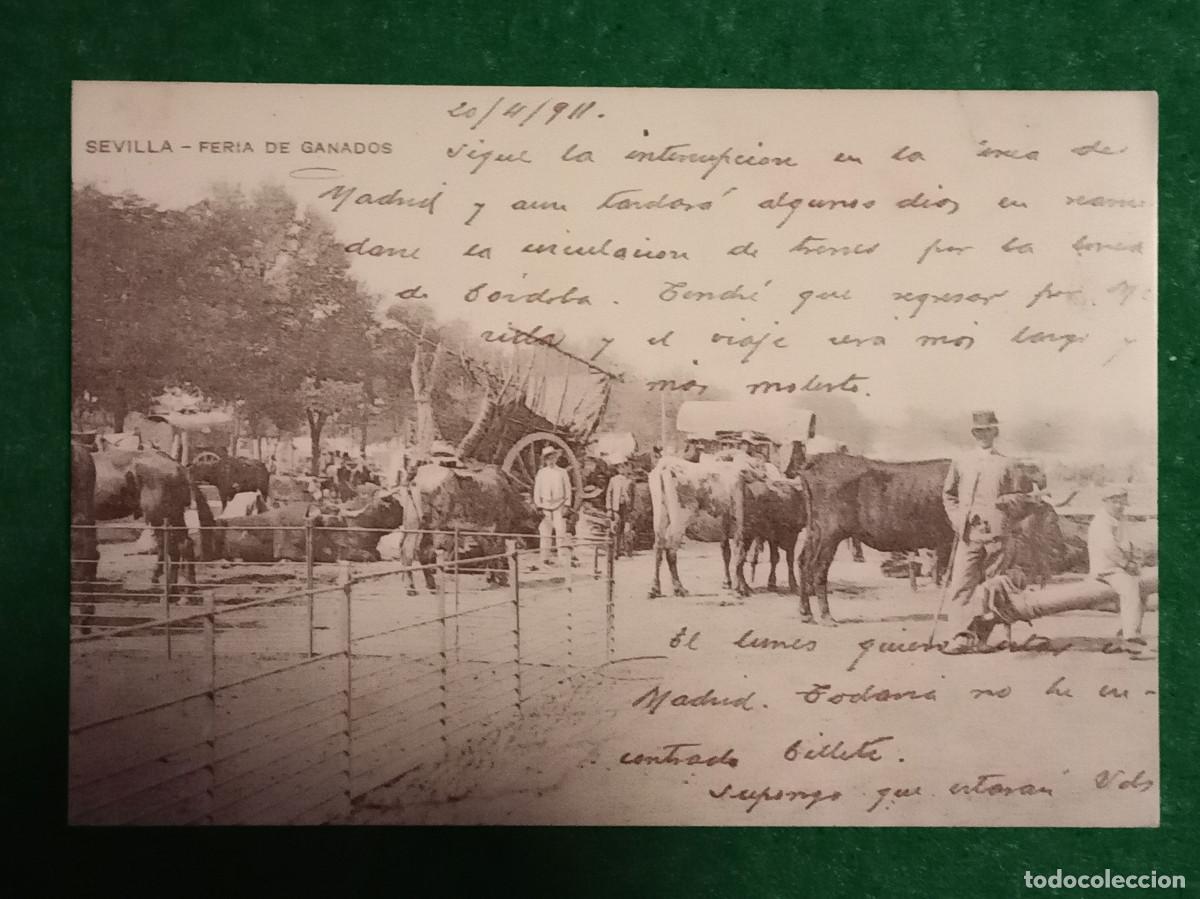 Postales: Replica de Postal Antigua - Feria del Ganado - Sevilla, 1911
