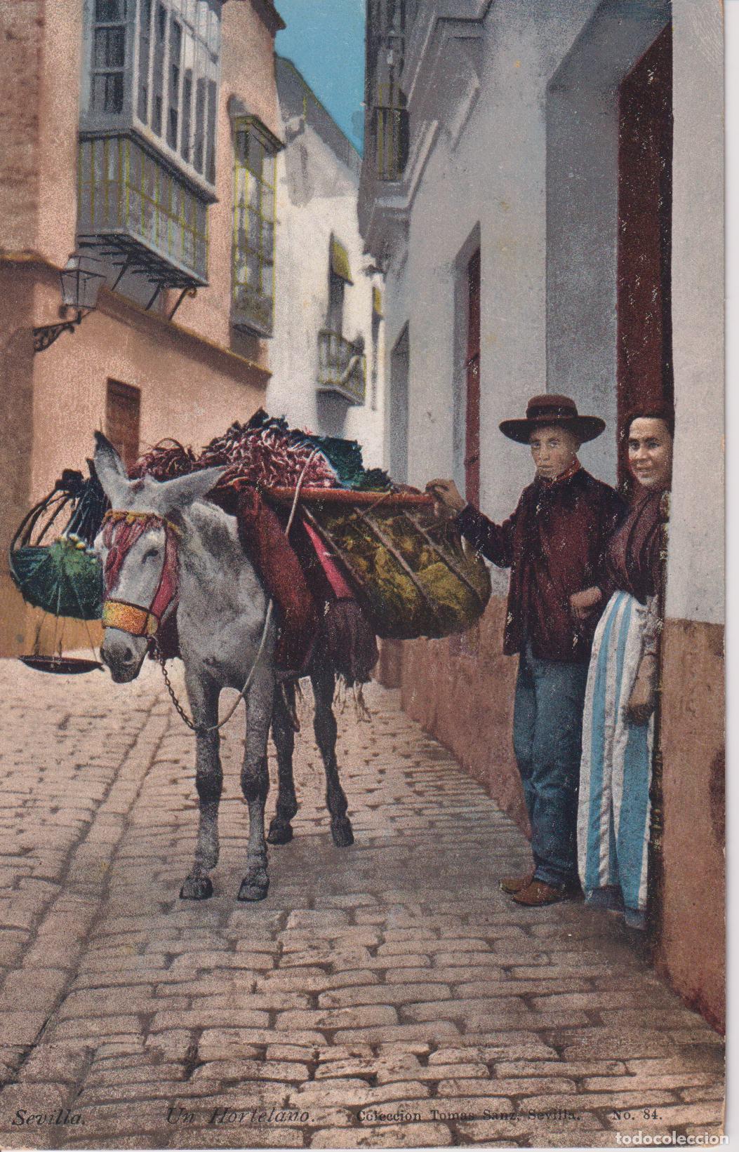 Postales: SEVILLA, UN HORTELANO &ndash; COLECCI&Oacute;N TOMAS SANZ N&ordm;84 &ndash; PURGER & CO. - S/C