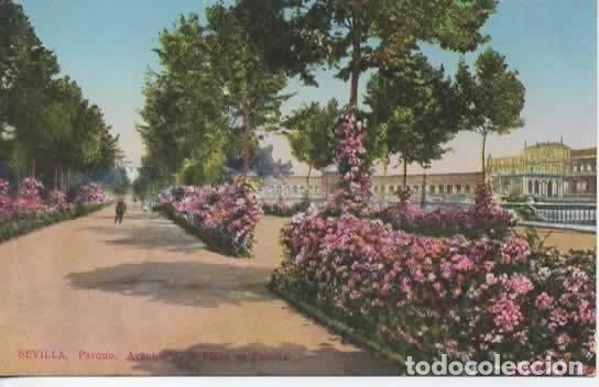 Cartes Postales: SEVILLA ESCRITA AVENIDA DE LA PLAZA DE ESPA&Ntilde;A