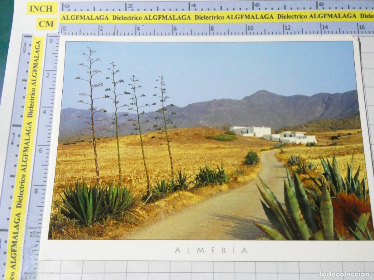 Postales: POSTAL DE ALMER&Iacute;A. A&Ntilde;O 2004. 235.8 TRIANGLE. 2667