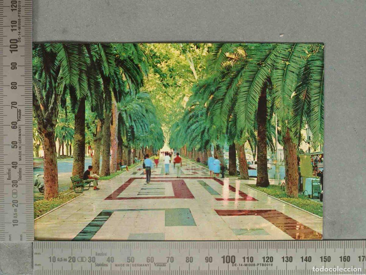 Postkarten: POSTAL. M&aacute;laga - Paseo del Parque
