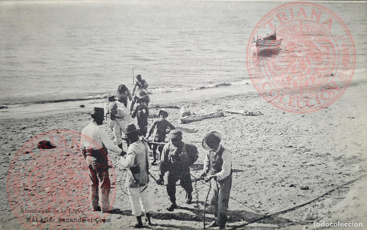 Postales: POSTAL MALAGA: SACANDO EL COPO. ALMACENES DE LA LLAVE (FOTOTIPIA HAUSER Y MENET)