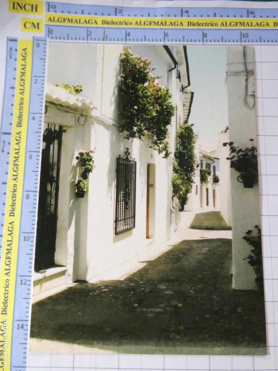 Postales: POSTAL DE C&Oacute;RDOBA. PRIEGO DE C&Oacute;RDOBA CALLE REAL. STUDIO MEDINA. 3616
