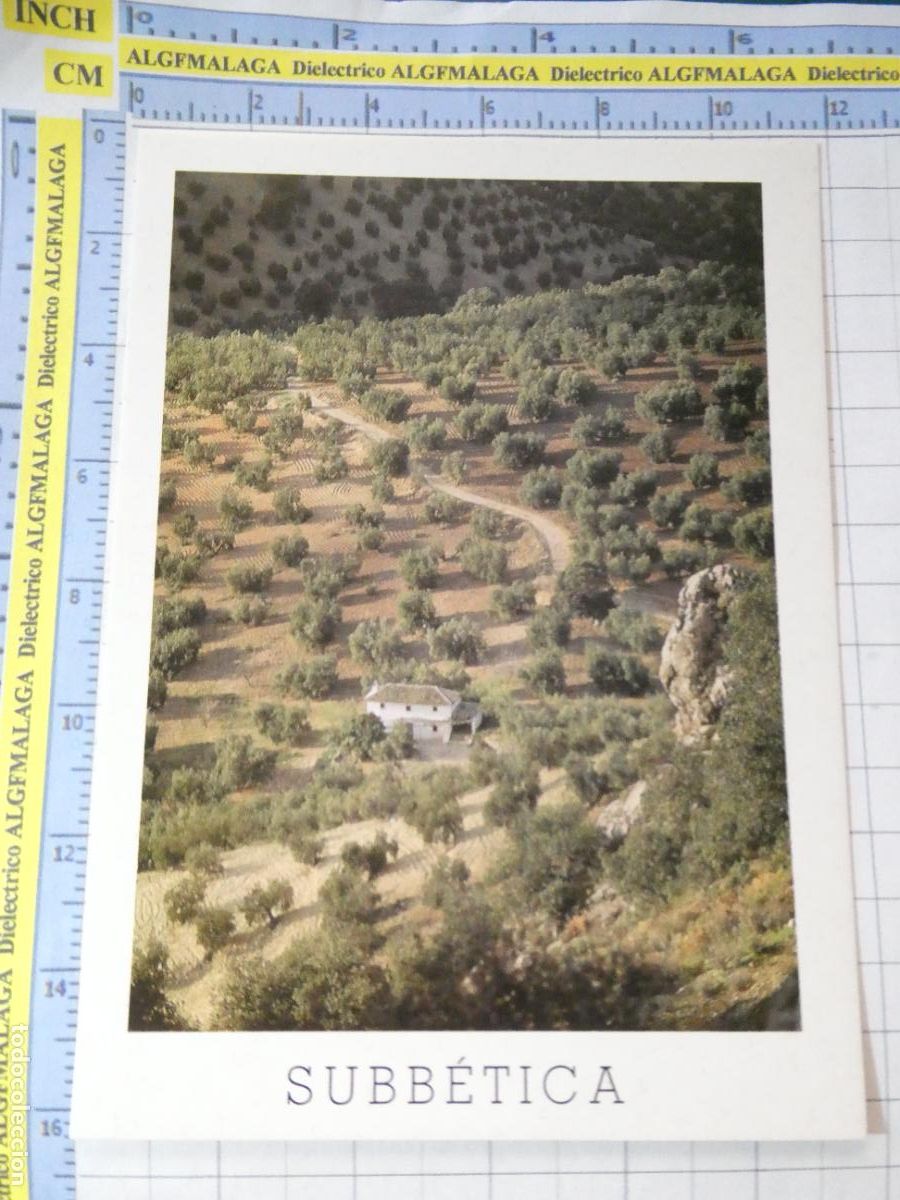 Postales: POSTAL DE C&Oacute;RDOBA. A&Ntilde;O 1996. CORDILLERA SUBB&Eacute;TICA PAISAJE DE OLIVOS Y CORTIJO. 8 ADARVE. 208