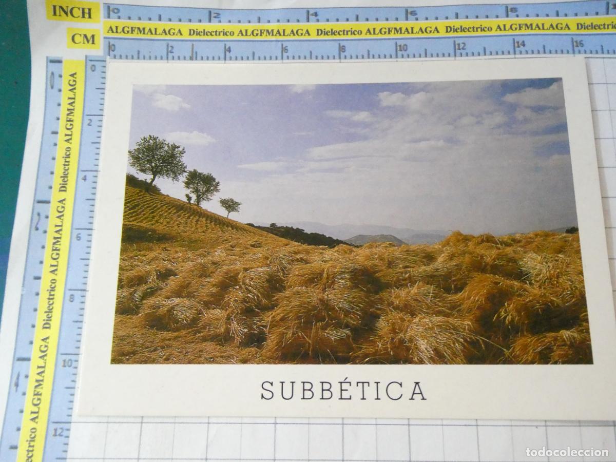 Postales: POSTAL DE C&Oacute;RDOBA. A&Ntilde;O 1996. CORDILLERA SUBB&Eacute;TICA GAVILLAS EN LA ERA 2 ADARVE. 209