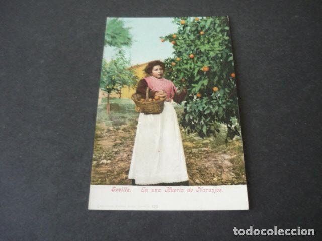 Postcards: SEVILLA EN UNA HUERTA DE NARANJOS ED. PURGER SIN DIVIDIR