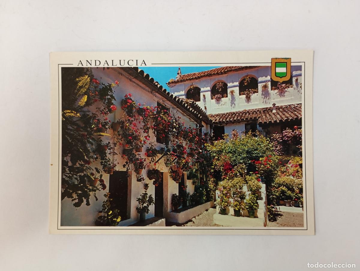 Postkarten: POSTAL DE T&Iacute;PICO PATIO ANDALUZ. TDKP29Q