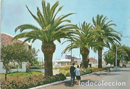 Postales: POSTAL A COLOR 12 MOTRIL GRANADA PASEO DEL PUERTO GARCIA GARRABELLA