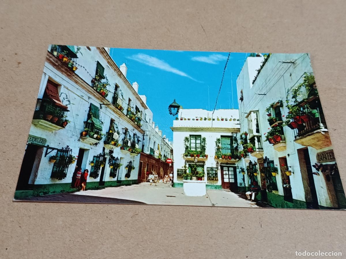 Postales: C&Aacute;DIZ - POSTAL C&Aacute;DIZ - PLAZA DEL T&Iacute;O DE LA TIZA