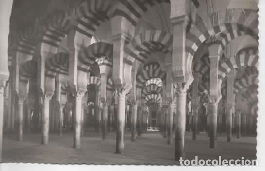 Postales: CORDOBA SIN ESCRIBIR MEZQUITA CATEDRAL