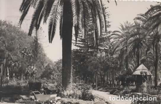 Postales: MALAGA ESCRITA JARDINES DEL PARQUE - Foto 1