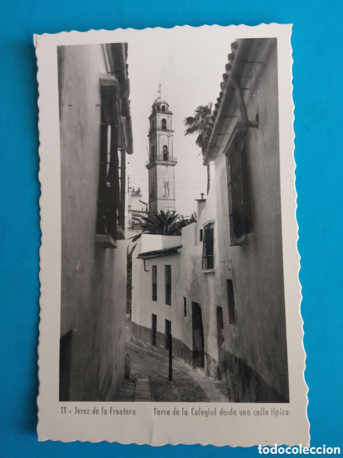 Postales: Antigua postal fotogr&aacute;fica, Jerez de la Frontera, Torre de la Colegial