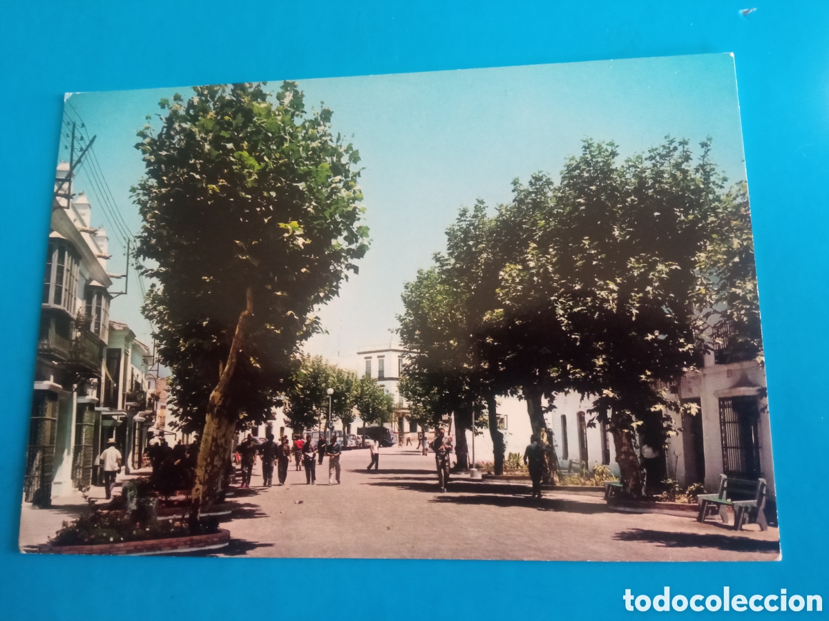 Postales: Antigua postal fotogr&aacute;fica, Estepona,Paseo Principal, Ediciones Arribas