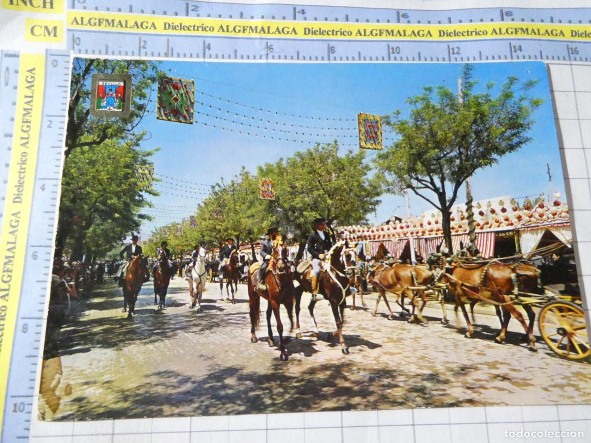 Postales: POSTAL DE SEVILLA. A&Ntilde;O 1965. PASEO DE CABALLOS FERIA DE ABRIL 147 ESCUDO ORO. 2725