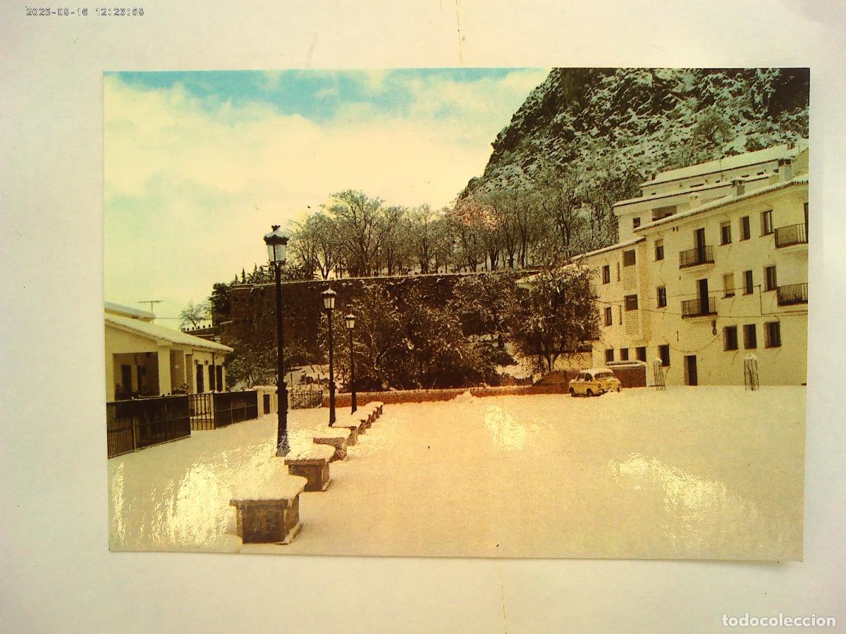 Postales: POSTAL DE GRAZALEMA ( CADIZ ): PLAZA ASOMADERO . NEVADA