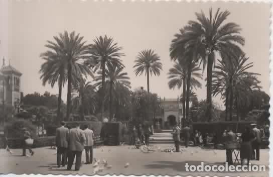 Postales: SEVILLA SIN ESCRIBIR PLAZA DE AMERICA
