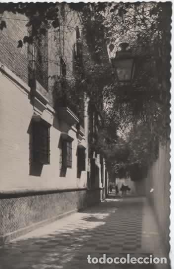 Postales: SEVILLA SIN ESCRIBIR BARRIO DE SANTA CRUZ