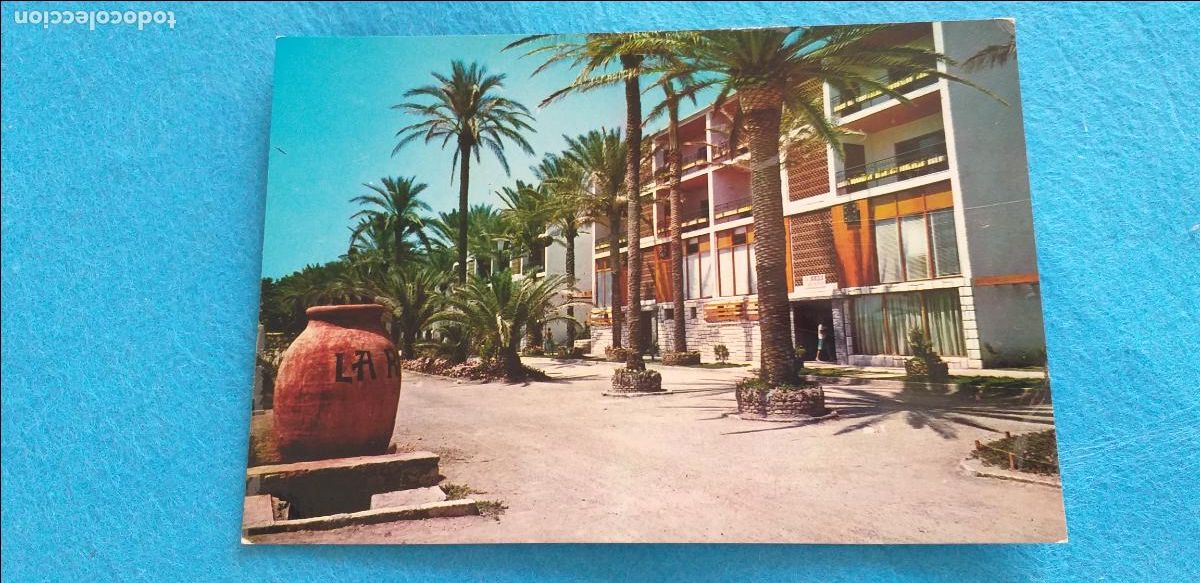 Postales: POSTAL MALAGA. Torremolinos. Palmerasen la calle. Serie 11. # 8151