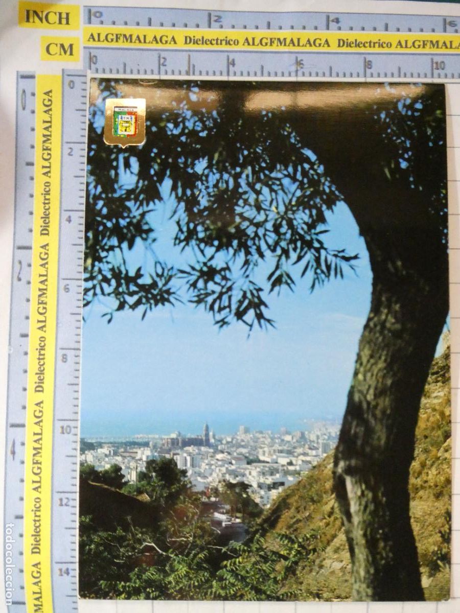 Postales: POSTAL DE M&Aacute;LAGA. A&Ntilde;O 1979. VISTA DESDE LOS MONTES 43 ESCUDO ORO. 778