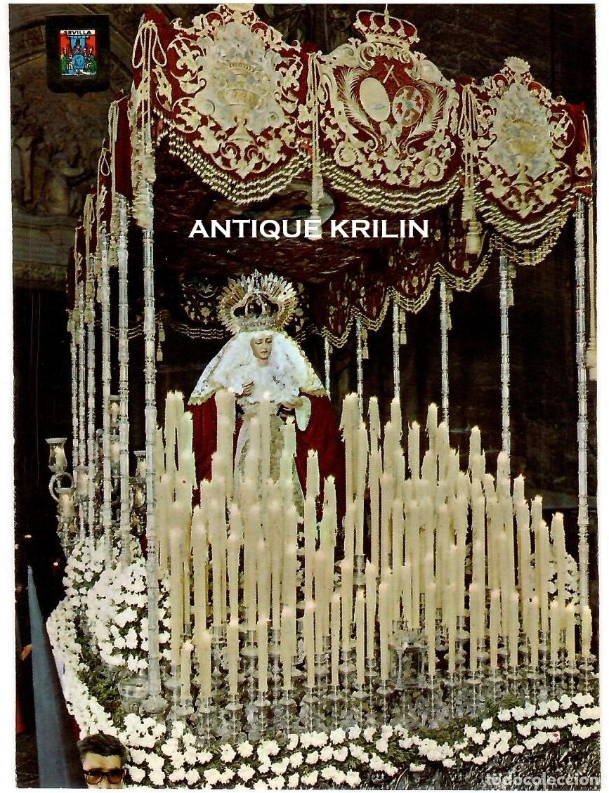 Postales: SEVILLA N&ordm; 12 SEMANA SANTA , MARIA SANTISIMA DE LA REGLA / ESCUDO DE ORO / SIN FRANQUEAR
