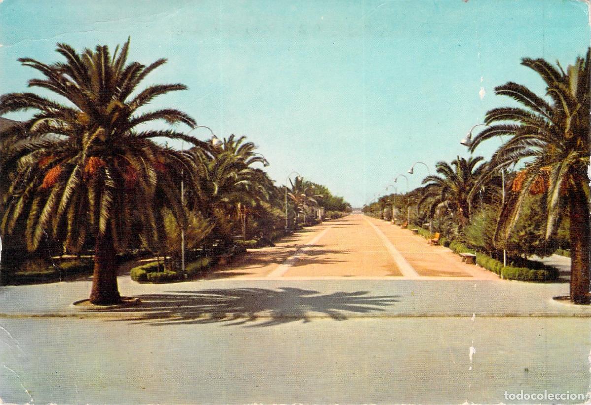 Postales: Postal de la Calzada del Ej&eacute;rcito en Sanl&uacute;car de Barrameda