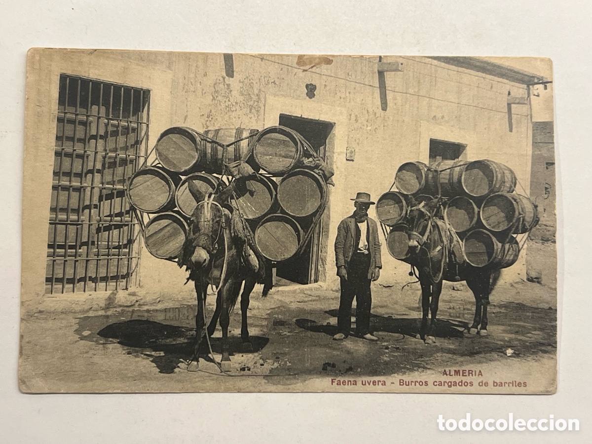 Postales: ALMERIA. Postal antigua. Faena uvera - Burros cargados de barriles. Colecci&oacute;n Lacoste, No.16