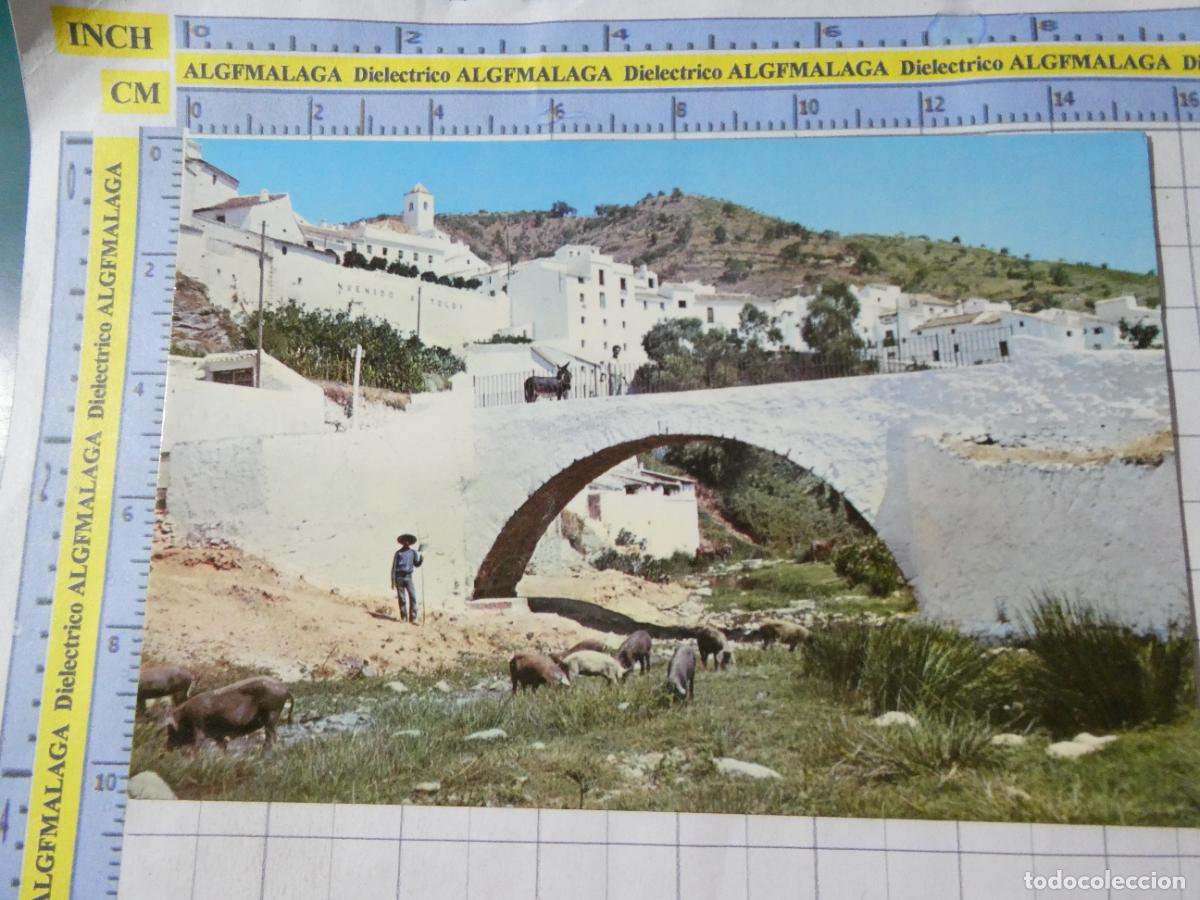 Postales: POSTAL DE M&Aacute;LAGA. A&Ntilde;O 1968. TOLOX PANORAMA DESDE EL PUENTE CAMPESINO CERDOS. CINEFILM. 760