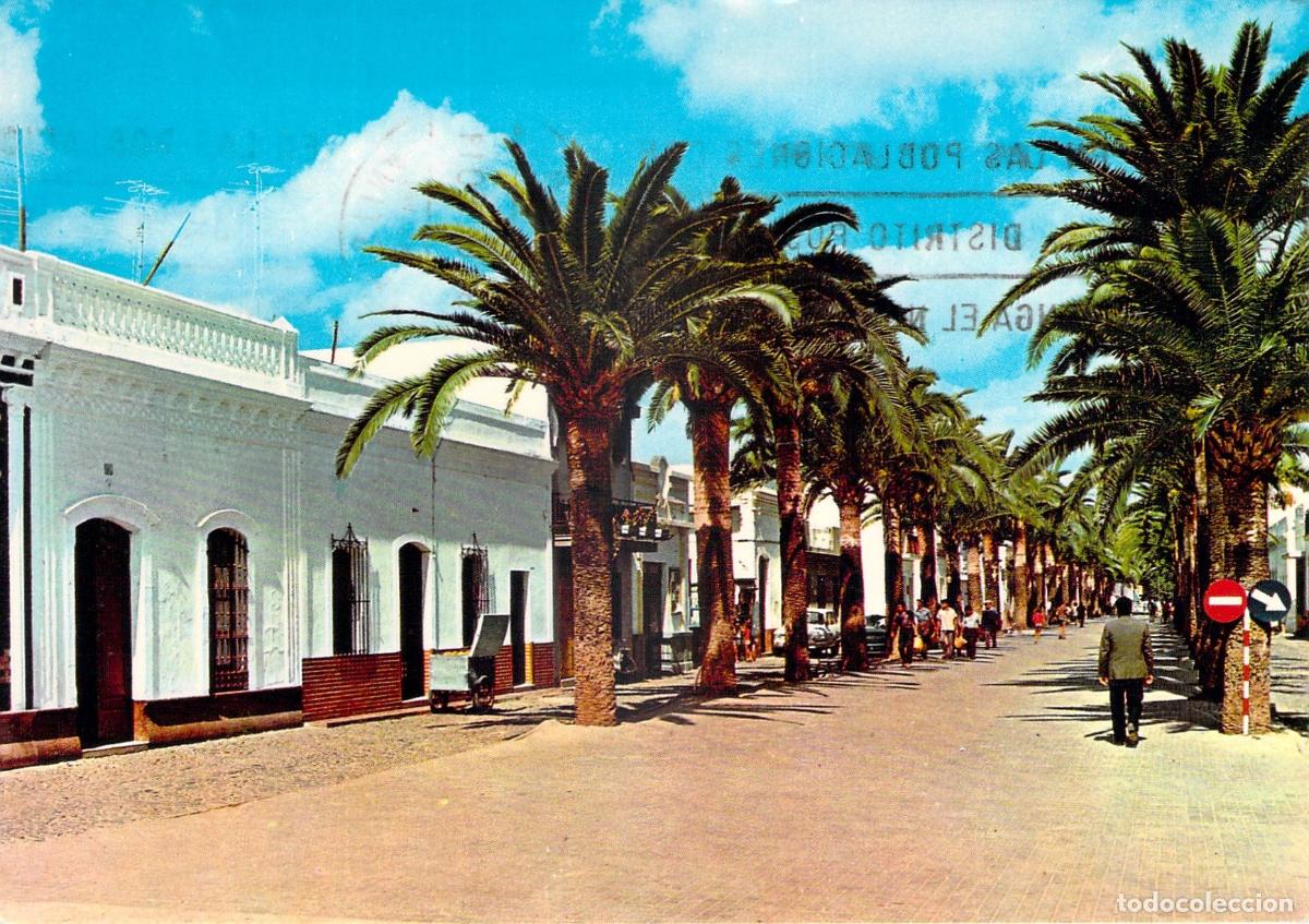 Postales: Postal de Isla Cristina, Huelva - Paseo con Palmeras