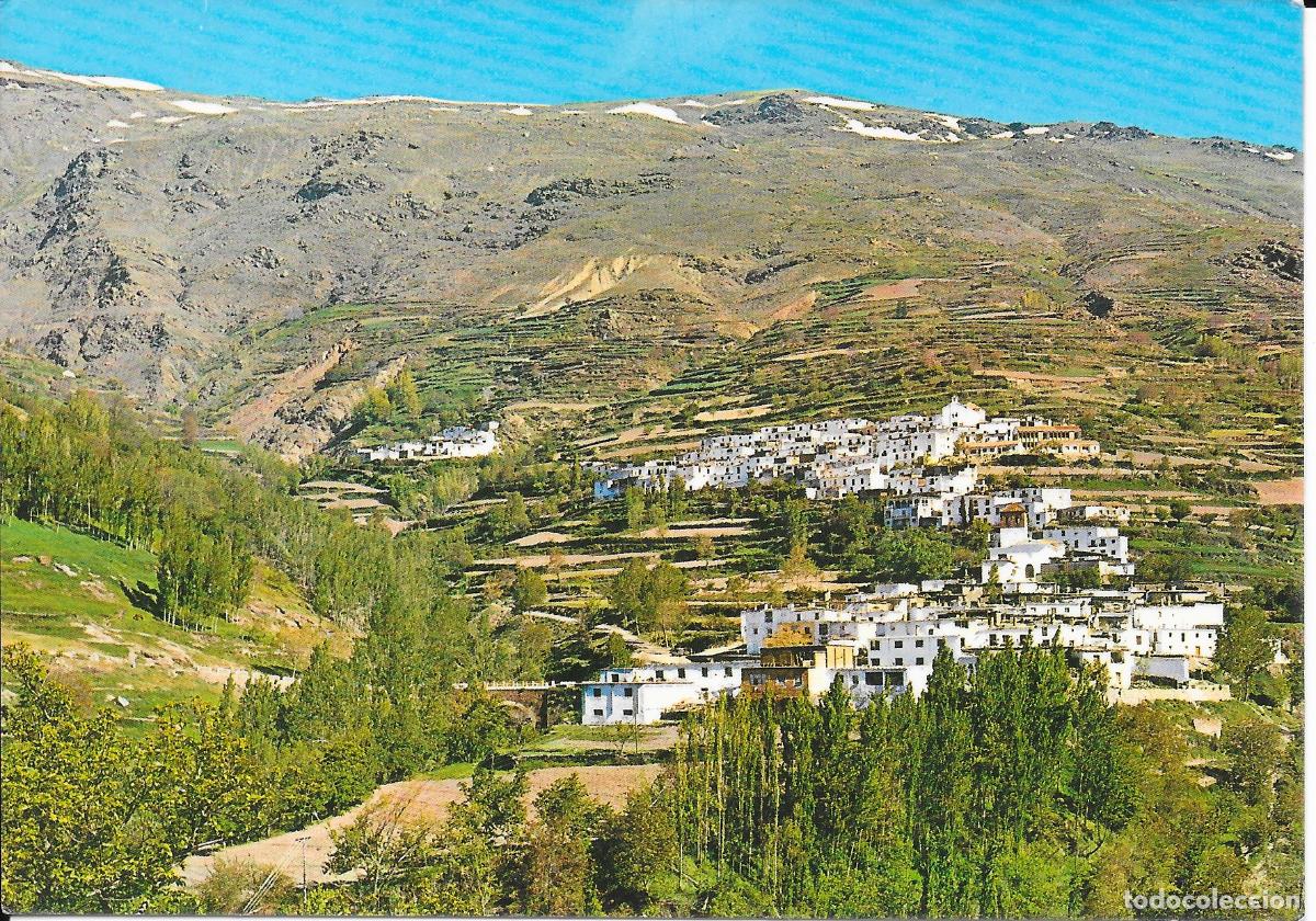 Postales: [POSTAL] Vista general. La Alpujarra. Trev&eacute;lez (Granada) A&ntilde;o 1976 (circulada)